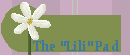 linkbutton1